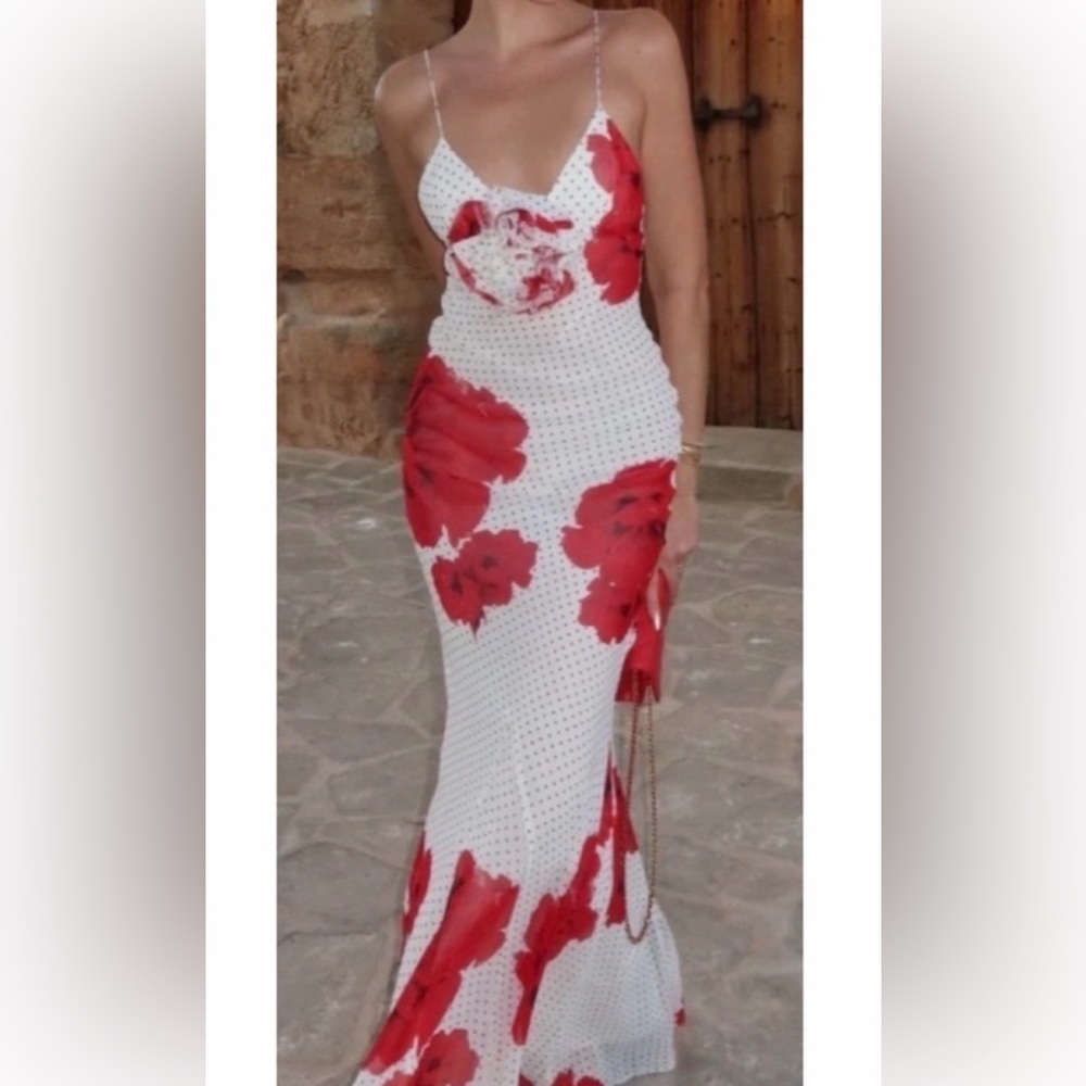 ZARA • Red/White Polka Dot and Floral Maxi Dress